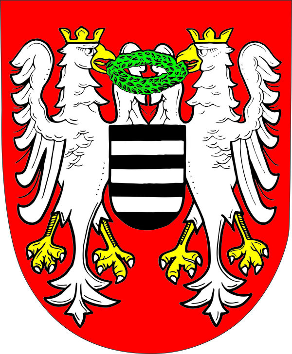 Město Březnice