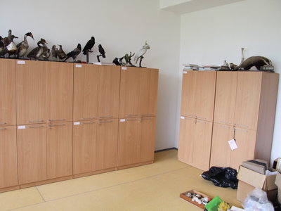 Opravený kabinet přírodopisu po havárii vody.