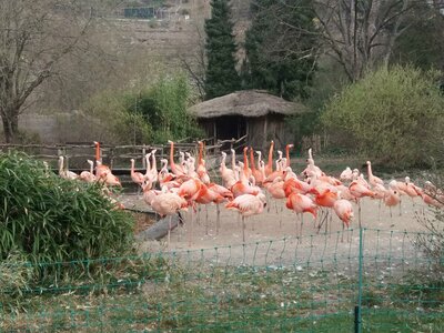 ZOO PRAHA 29. 3. 2022
