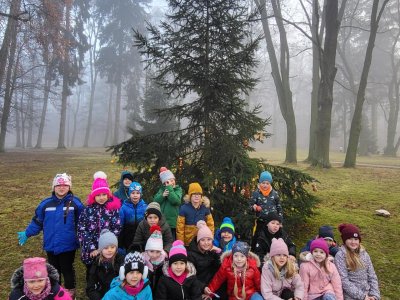 Stromeček pro zvířátka:)